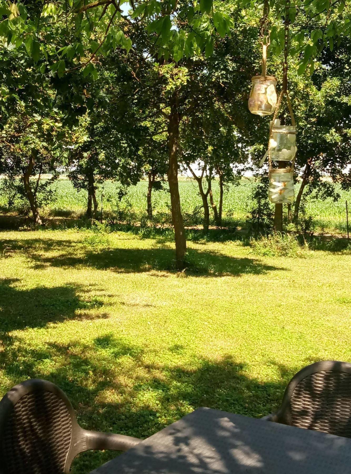 La Barchessa Country House บูดริโอ ภายนอก รูปภาพ